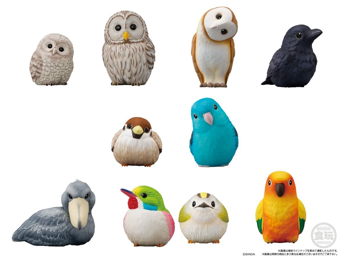 300832486_5889569944407234_3845954530113121265_n