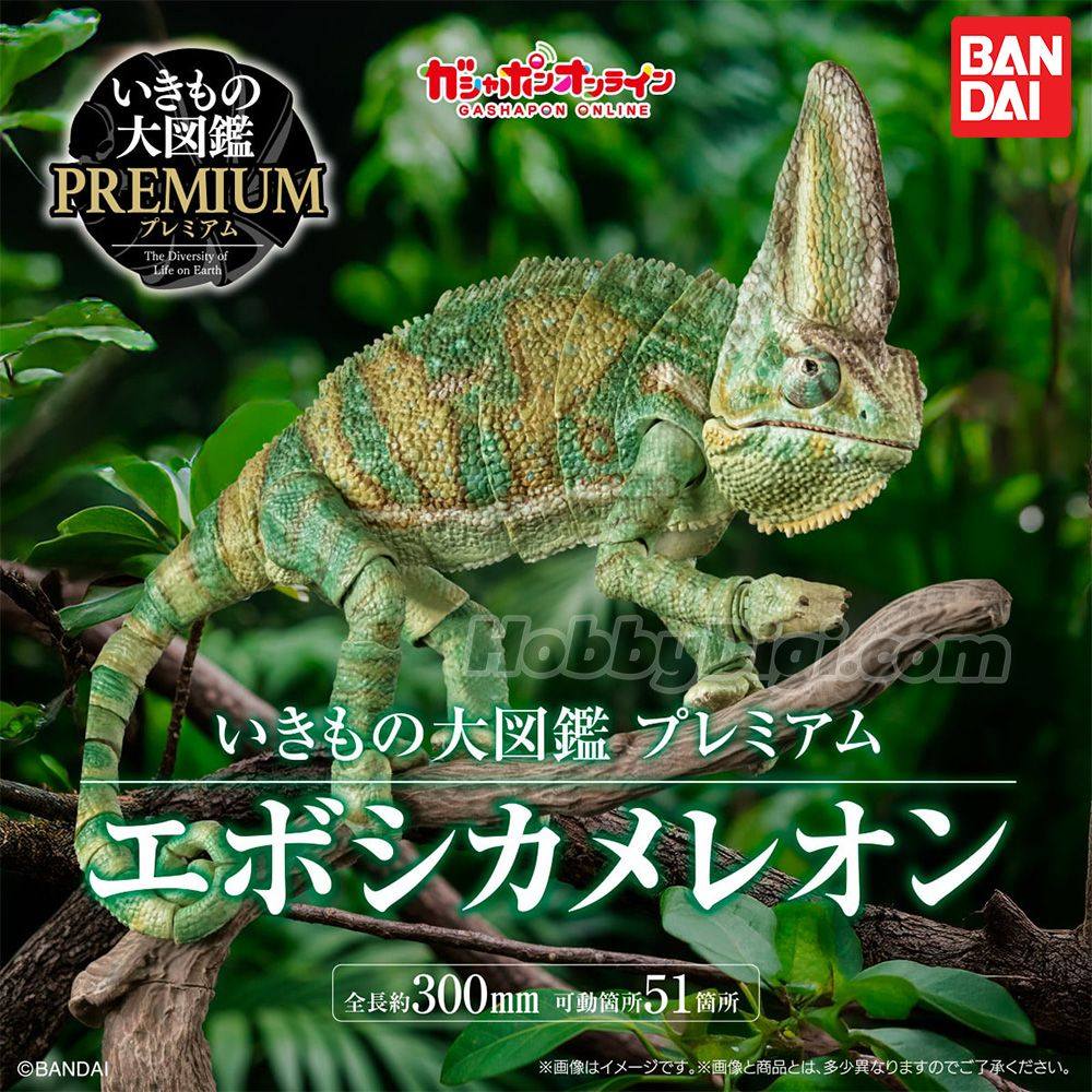 624411386_1489802279817076_2629243183680793636_n