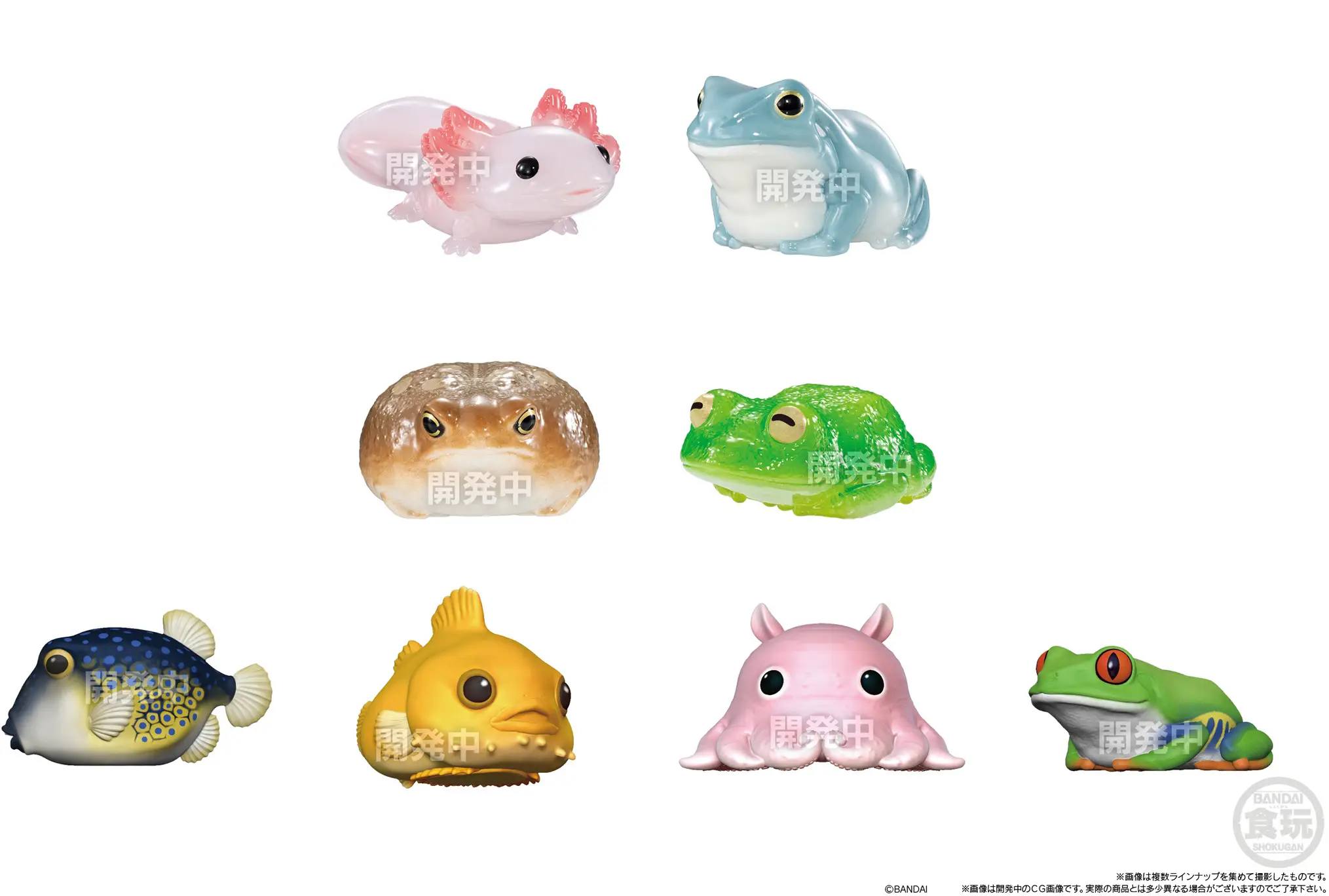 656950224_1541302898000347_2149472132561395206_n