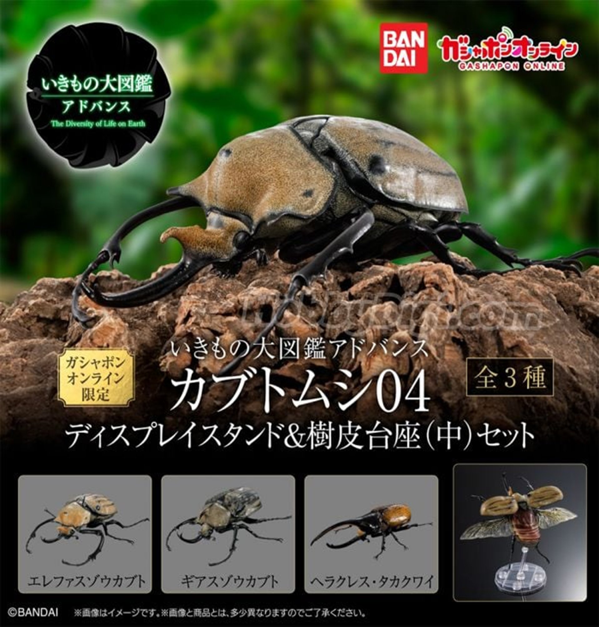 668537930_1552272706903366_8129502931798963705_n